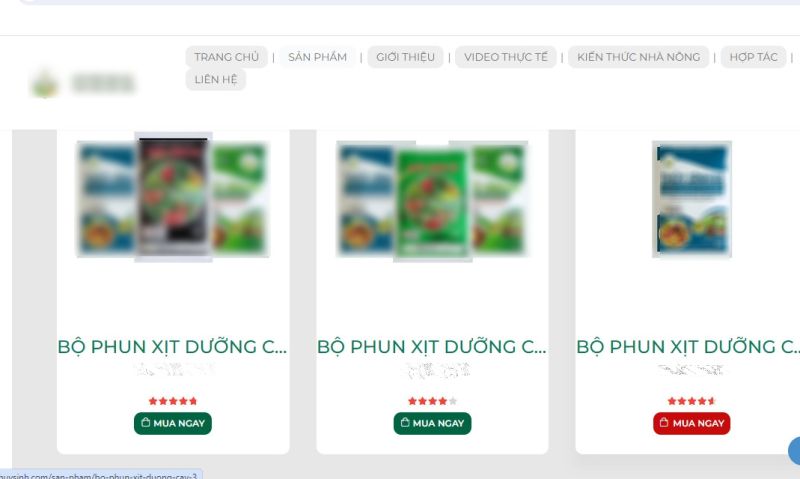 Lực lượng chức năng theo dõi hoạt động của 02 trang website thương mại điện tử bán hàng