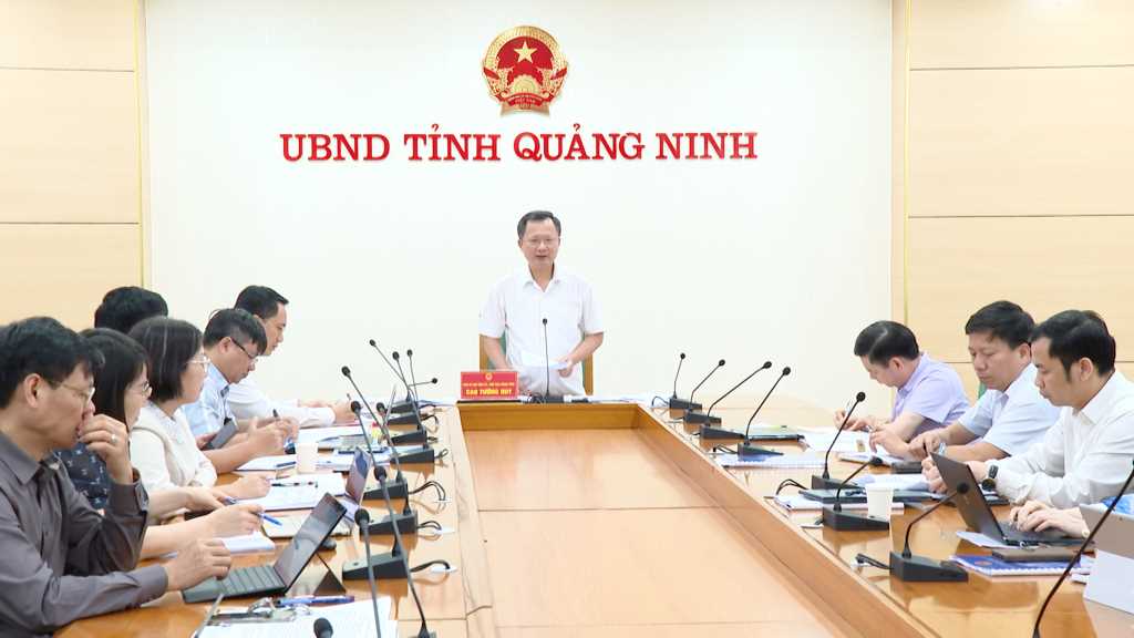 Ông Cao Tường Huy, Chủ tịch UBND tỉnh phát biểu chỉ đạo tại buổi làm việc.