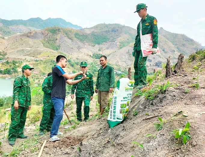 Đồn Biên phòng Trung Lý hướng dẫn, chuyển giao kỹ thuật trồng cây sắn năng suất cao tại bản Lìn, xã Trung Lý (Mường Lát). Ảnh: Xuân Minh