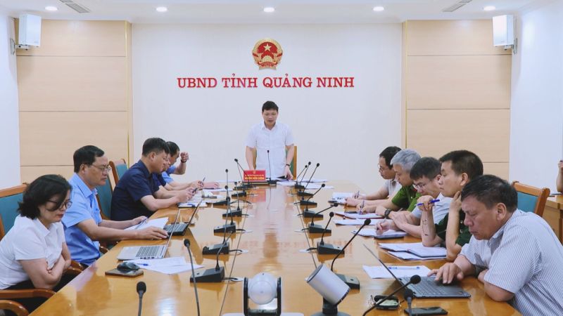 Ông Nghiêm Xuân Cường, Phó Chủ tịch UBND tỉnh Quảng Ninh phát biểu chỉ đạo cuộc họp.