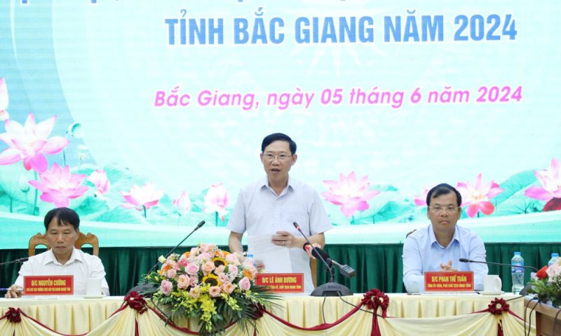 Chủ tịch UBND tỉnh Bắc Giang phát biểu tại hội nghị.