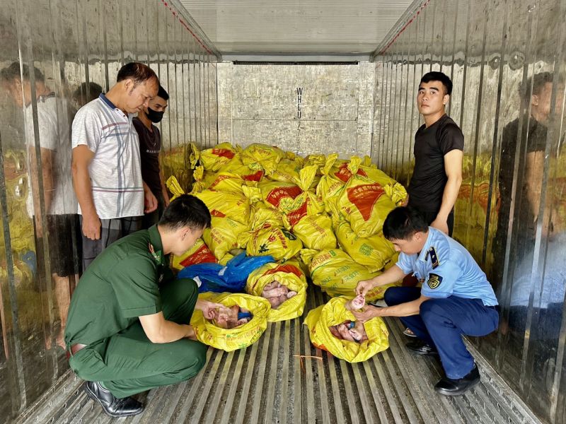 Kiểm tra, phát hiện, tạm giữ hơn 5 tấn móng giò lợn đông lạnh không rõ nguồn gốc