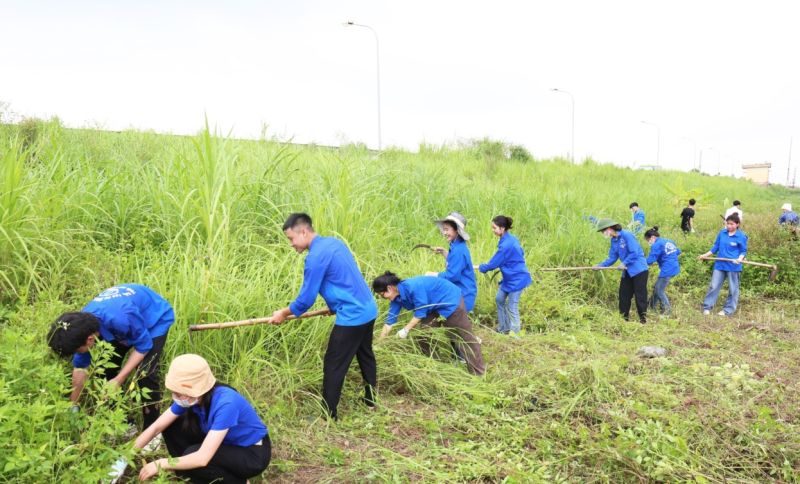 Đoàn viên thanh niên tham gia phát quang bụi rậm tại khu vực đê thuộc xã Minh Tân.