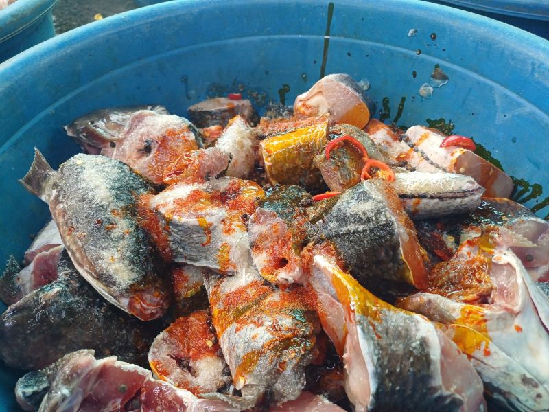 Những miếng Cá được ướp đều với các gia vị gia truyền của nhà chị Nguyễn Thị Hiền