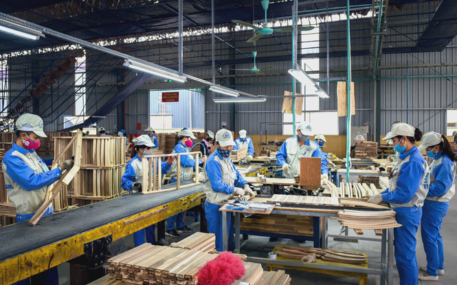 Sản xuất gỗ xuất khẩu tại Công ty cổ phần Woodsland Tuyên Quang.