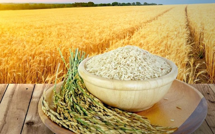 Giá lúa gạo hôm nay 27/6: Giá gạo giảm 100 -150 đồng/kg