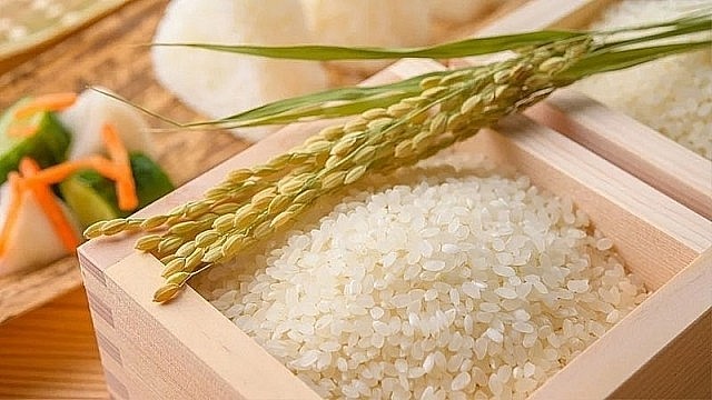 Giá lúa tiếp tục đi ngang; giá gạo xuất khẩu ở mức thấp (Ảnh minh họa)