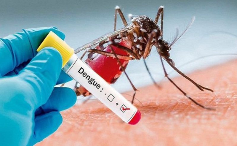 Ghi nhận trên 400 trường hợp mắc sốt xuất huyết Dengue tại Đắk Lắk