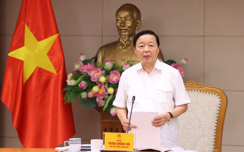 Phó Thủ tướng Trần Hồng Hà cho rằng các chính sách hỗ trợ cần giúp tổ chức, doanh nghiệp, người trồng lúa ứng phó được với mọi rủi ro - Ảnh: VGP/MK