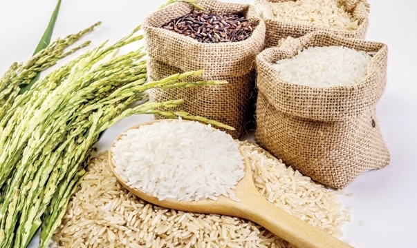 Giá lúa gạo hôm nay 1/7: Giá gạo giảm 100 đồng/kg