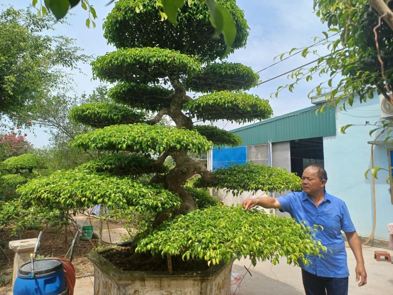 Nghệ nhân nhà vườn Bách Thuận – một đời tâm huyết với nghề