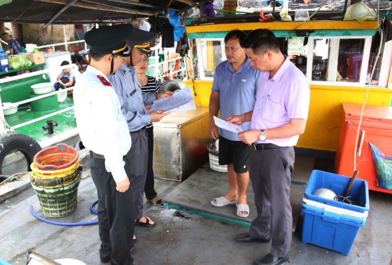 Đoàn kiểm tra của Sở NN&PTNT kiểm tra các giấy tờ theo quy định đối với tàu cá hoạt động trên địa bàn Quảng Ninh (tháng 4/2024).