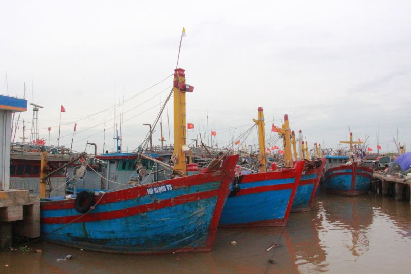 Tàu đánh bắt xa bờ neo đậu tại Cảng cá Ninh Cơ. Ảnh: Mai Chiến