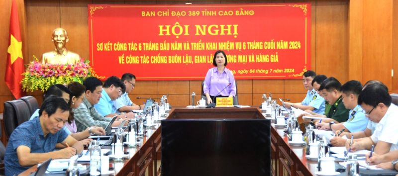 Phó Chủ tịch UBND tỉnh, Trưởng ban Chỉ đạo 389 Cao Bằng, Nguyễn Bích Ngọc