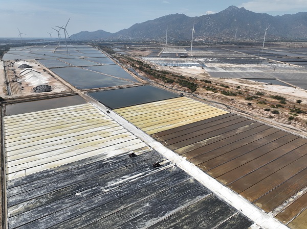 Đồng muối thuộc huyện Thuận Bắc, Ninh Thuận