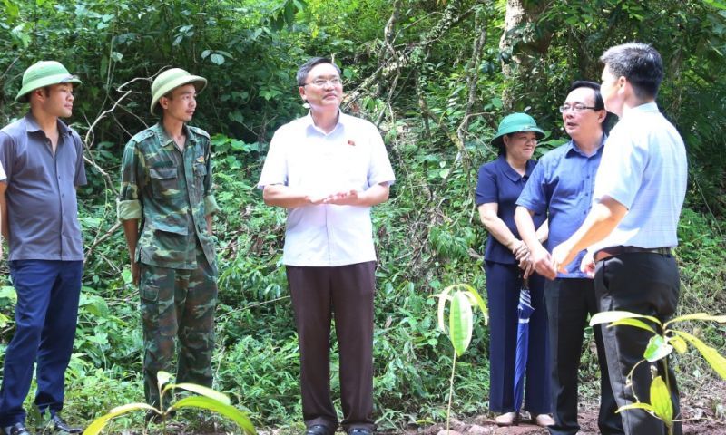 Đoàn công tác khảo sát việc quản lý rừng của các hộ dân sau khi nhận giao đất giao rừng tại địa bàn xã Đình Lập, huyện Đình Lập, tỉnh Lạng Sơn