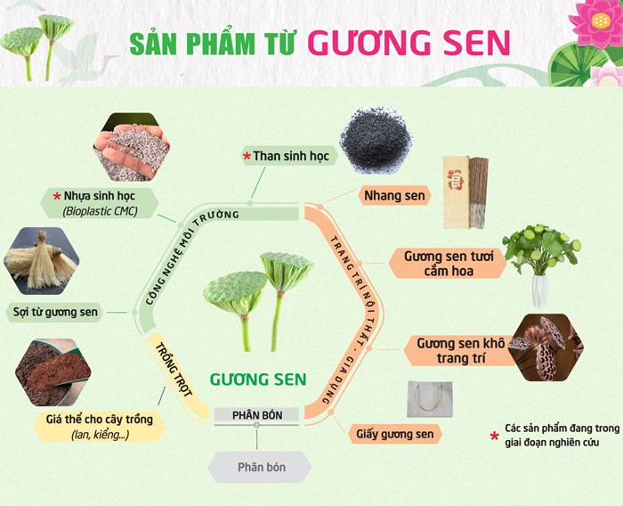 Sản phẩm giá trị gia tăng từ gương sen