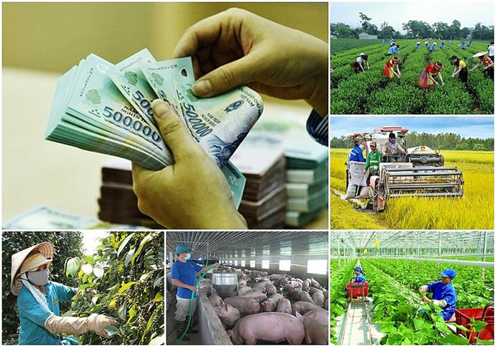 Sửa đổi, bổ sung các tiêu chí quy định chuẩn nghèo đa chiều