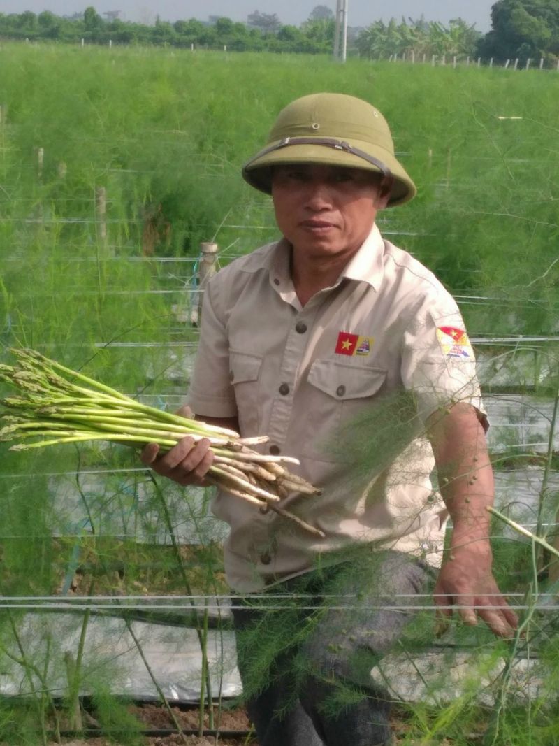 Khi người nông dân Thái Bình sở hữu nông trại tiền tỷ từ canh tác nông nghiệp hữu cơ