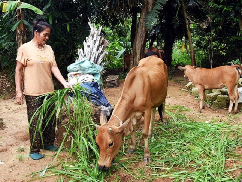 Đẩy mạnh giải ngân nguồn vốn Chương trình MTQG giảm nghèo bền vững
