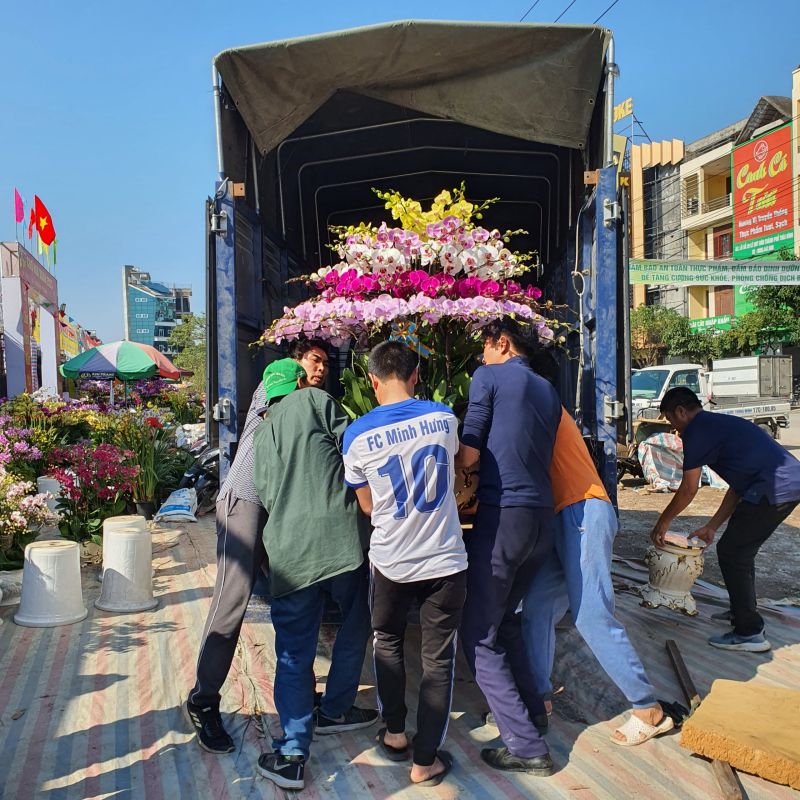 Liên tiếp những chuyến xe xuôi ngược chở hoa phong lan Tết nguyên đán cho khách hàng