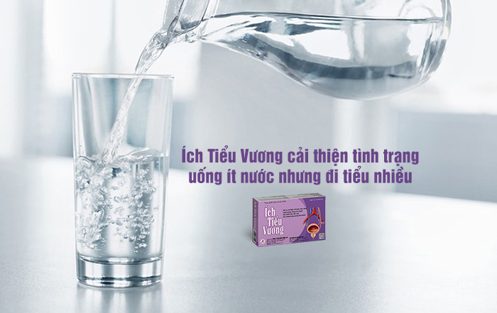 Uống ít nước nhưng đi tiểu nhiều - Giải pháp cải thiện nhờ Ích Tiểu Vương