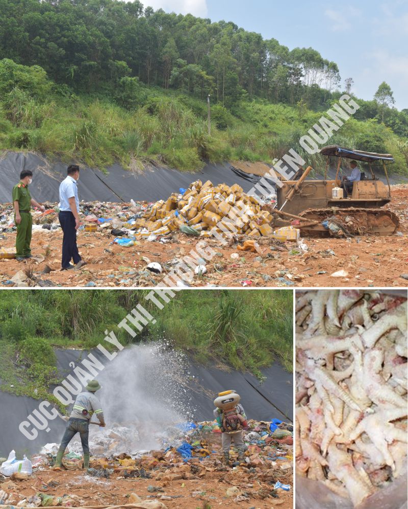 Số chân gà bị tiêu huỷ