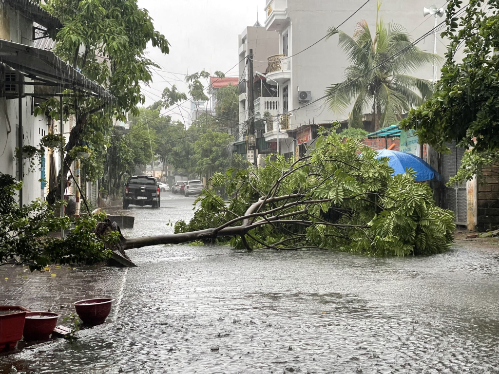 Cây xanh đổ gãy trên tuyến đường thuộc phường Quảng Yên.