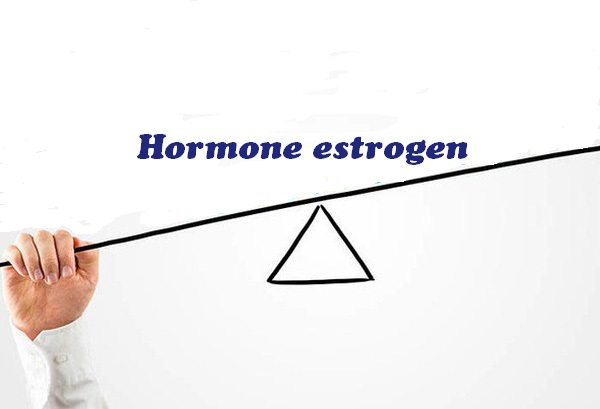 Mất cân bằng hormone estrogen là nguyên nhân gây kinh nguyệt ra ít