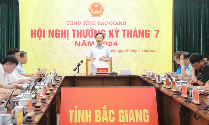 Chủ tịch UBND tỉnh Bắc Giang chủ trì hội nghị.