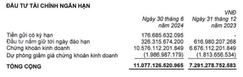 Cơ cấu đầu tư tài chính ngắn hạn của Tập đoàn PAN tại thời điểm 30/6/2024