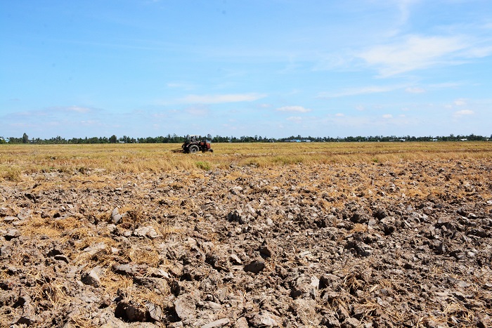 Chỉ tiêu sử dụng đất nông nghiệp đến năm 2025 là 461.712,13 ha.