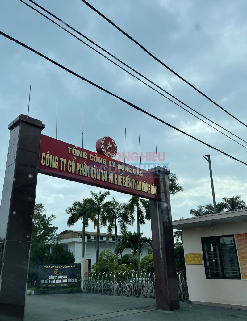 Thương hiệu “Vận tải và Chế biến than Đông Bắc” với những hoạt động kinh doanh