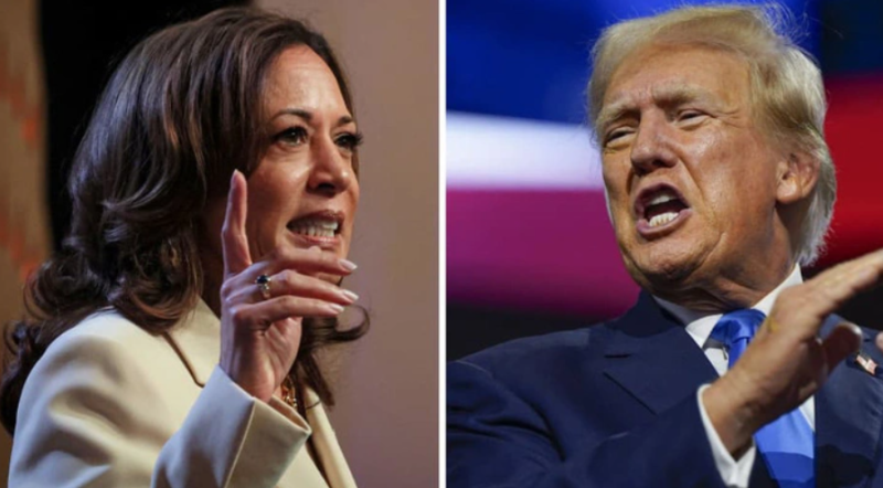 Việc bà Kamala Harris thay thế ông Joe Biden để trở thành đối thủ của ông Donald Trump được xem là điểm nhấn đặc biệt trong cuộc bầu cử tổng thống Mỹ năm nay - Ảnh: REUTERS