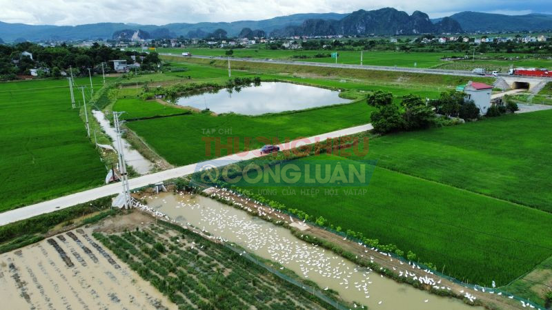 Nguồn nước chảy vào ao từ đầu nguồn là con mương đang có hàng nghìn con vịt đang được người dân thả.