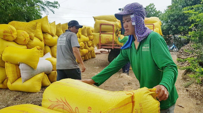 Thị trường trong nước điều chỉnh tăng với gạo, giá lúa cũng neo ở mức cao. (Ảnh minh họa)