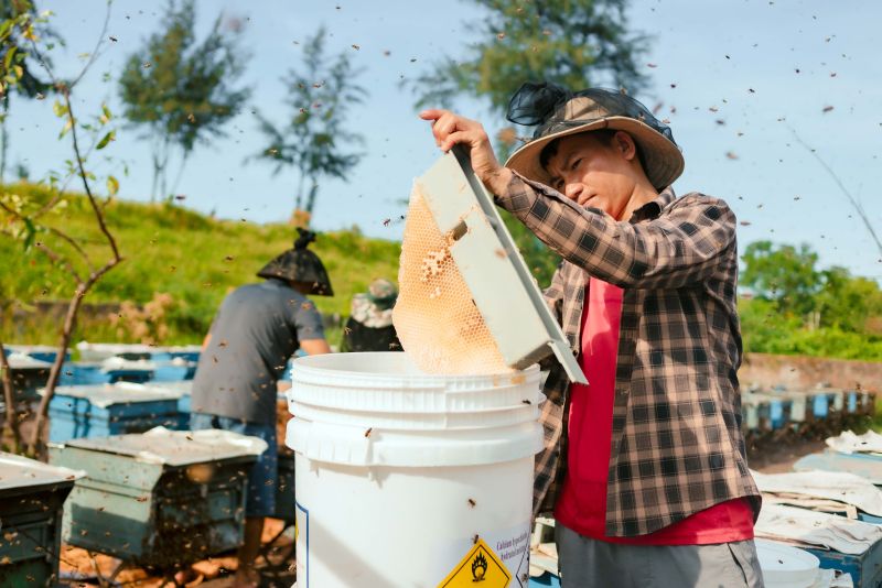 Khai thác “mật” vàng từ Vườn quốc gia Xuân Thủy