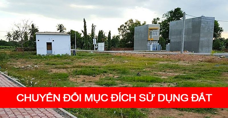 Điều kiện chuyển mục đích sử dụng đất trồng lúa, đất rừng sang mục đích khác. Ảnh minh họa, nguồn internet.