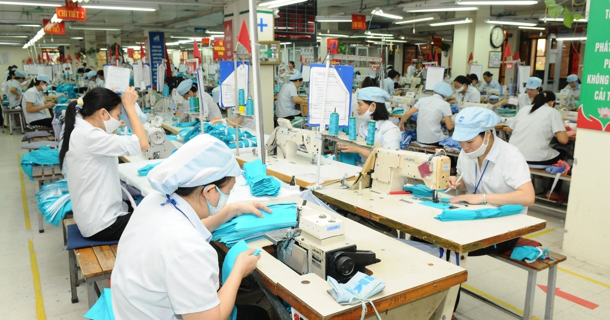 Tận dụng “cao tốc” EVFTA, thương mại Việt Nam-EU khởi sắc