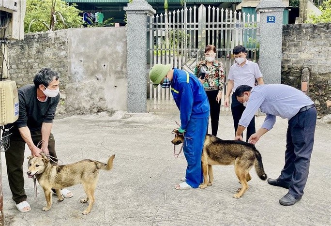 Bệnh dại thường gia tăng vào mùa hè (Ảnh minh họa: CDC).