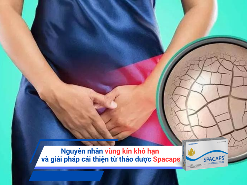 Nguyên nhân vùng kín khô hạn và giải pháp cải thiện từ thảo dược Spacaps
