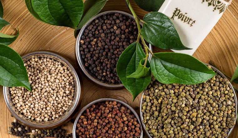 Tin vui: Hồ tiêu xuất khẩu sang Mỹ tăng 48,4% và chiếm 26,4% thị phần