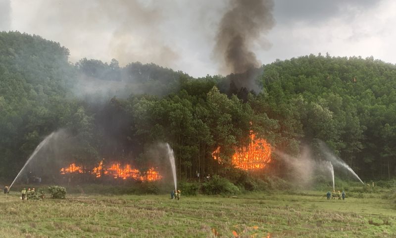 Các lực lượng tham gia diễn tập chữa cháy rừng trên địa bàn xã Long Sơn, huyện Sơn Động. Các lực lượng tham gia diễn tập chữa cháy rừng trên địa bàn xã Long Sơn, huyện Sơn Động.