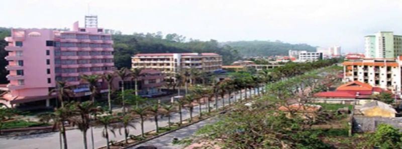 Ảnh minh họa (Nguồn: Internet)