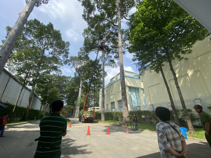 Nhánh cây bị gãy ở công viên Tao Đàn rơi từ độ cao 25m khiến 2 người tử vong