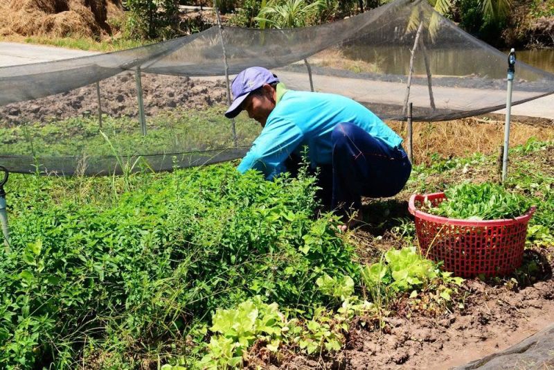 Tính đến nay, tình hình giải ngân vốn đầu tư chương trình mục tiêu quốc gia giảm nghèo bền vững chỉ đạt 4,1%.