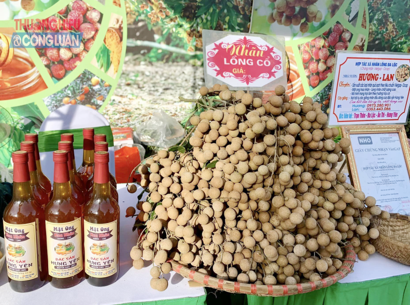 Để thương hiệu nhãn Hưng Yên phát huy thế mạnh về sản phẩm đặc trưng