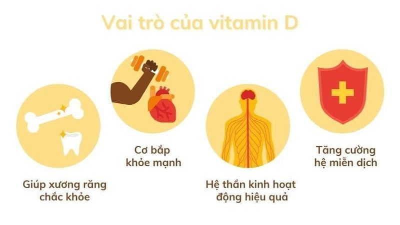 Vitamin D có rất nhiều vai trò quan trọng với cơ thể