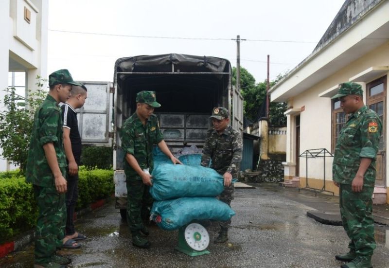 Số chân lợn đông lạnh được các lực lượng chức năng phát hiện, thu giữ, xử lý theo quy định của pháp luật