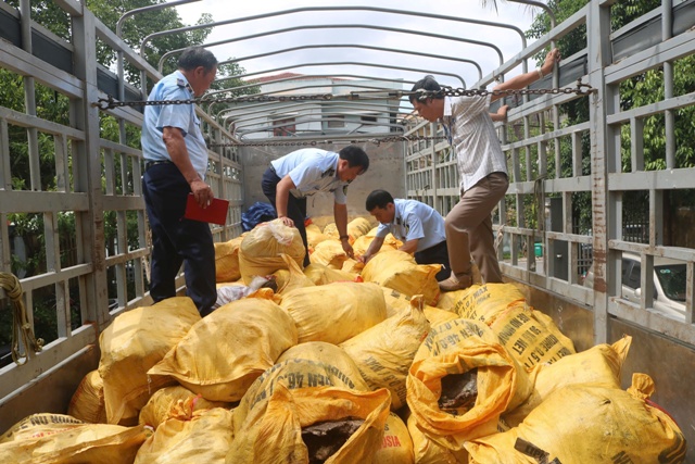 Thu giữ hơn 11 tấn mỡ bò các loại không rõ nguồn gốc, xuất xứ bị lực lượng chức năng tỉnh Quảng Bình phát hiện, thu giữ.